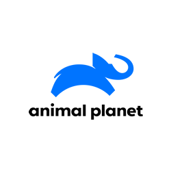 Animal Planet
